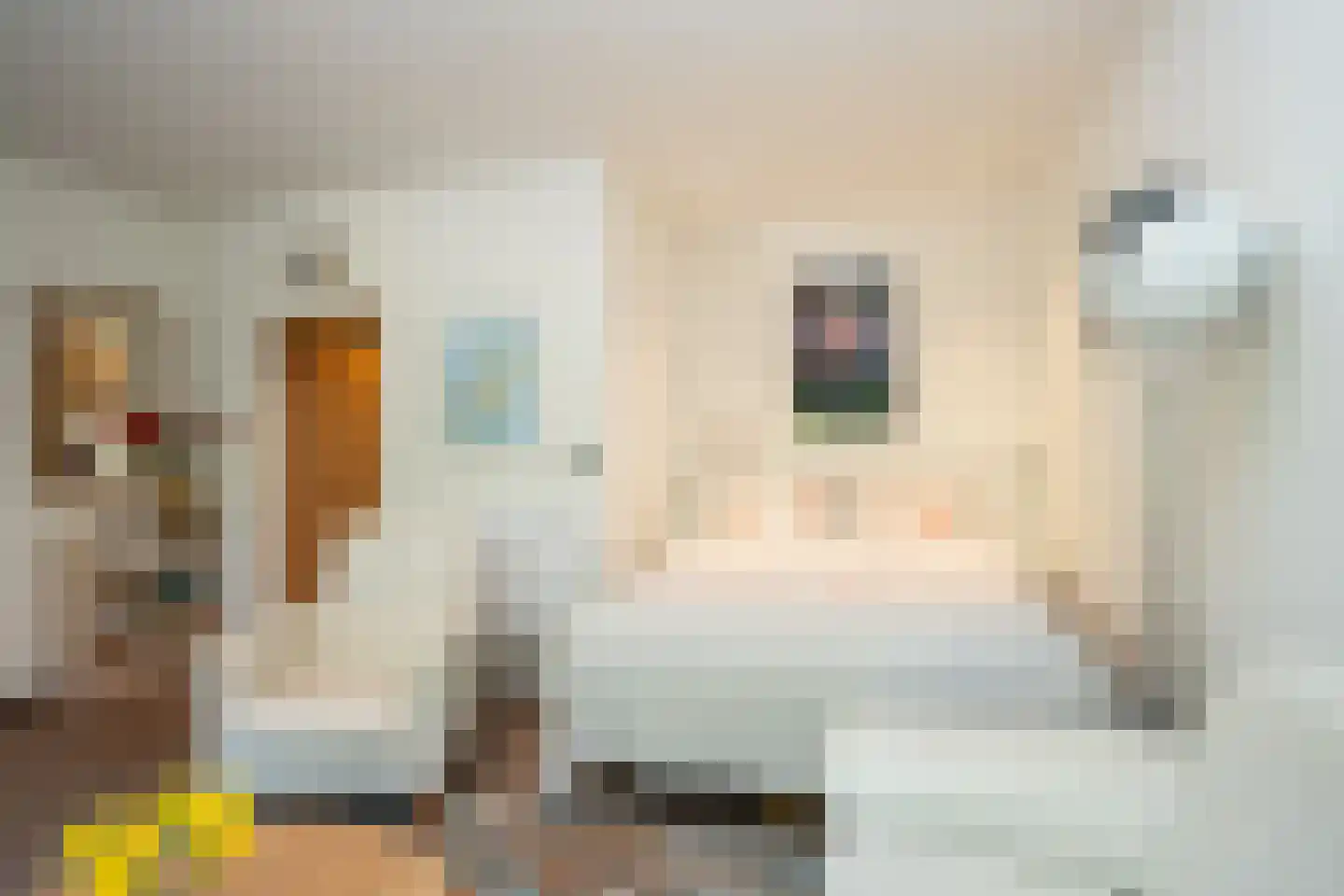 Ruijslaan 61 De Koog thumbnail 36
