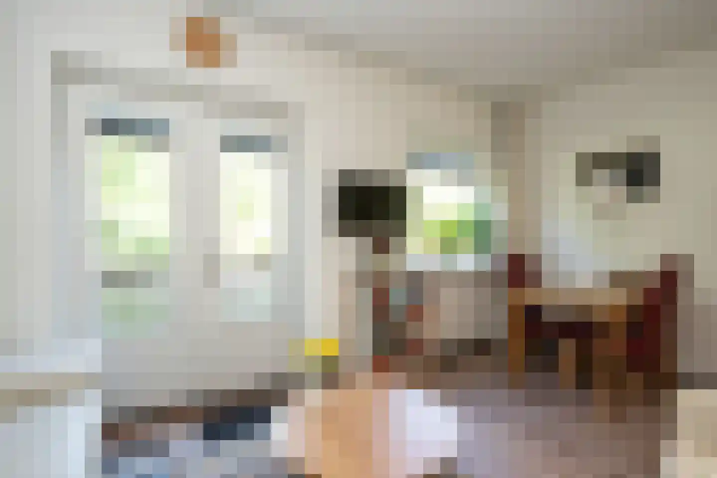 Ruijslaan 61 De Koog thumbnail 39