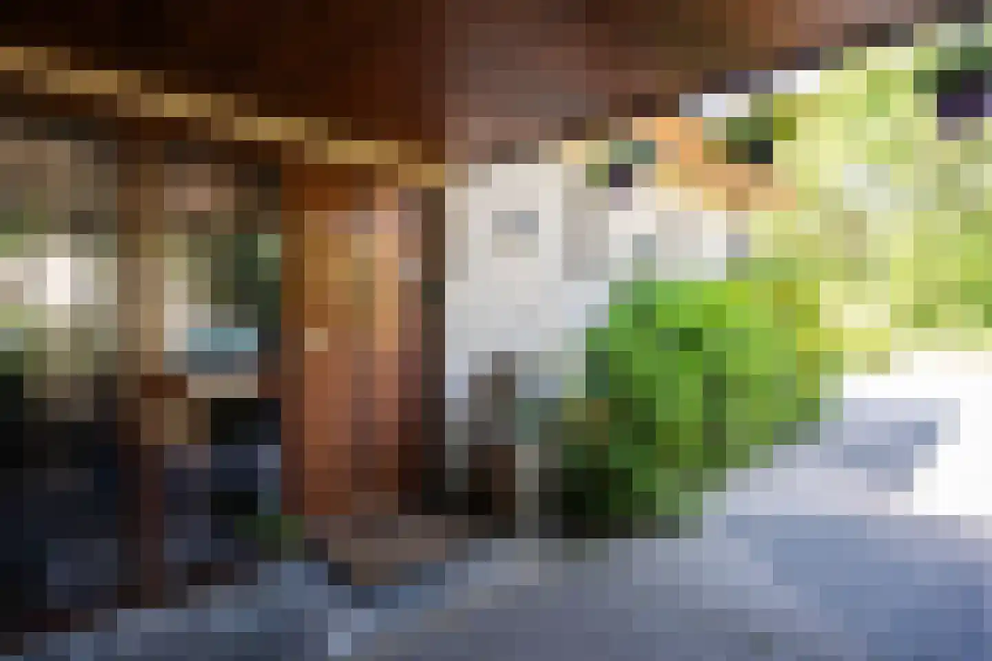 Ruijslaan 61 De Koog thumbnail 4