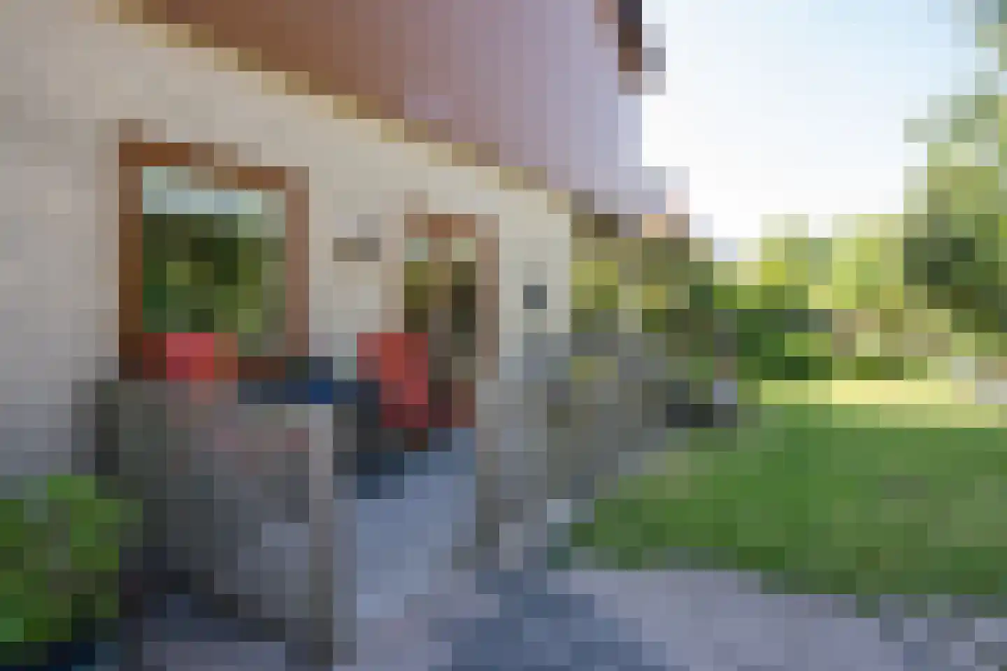Ruijslaan 61 De Koog thumbnail 45