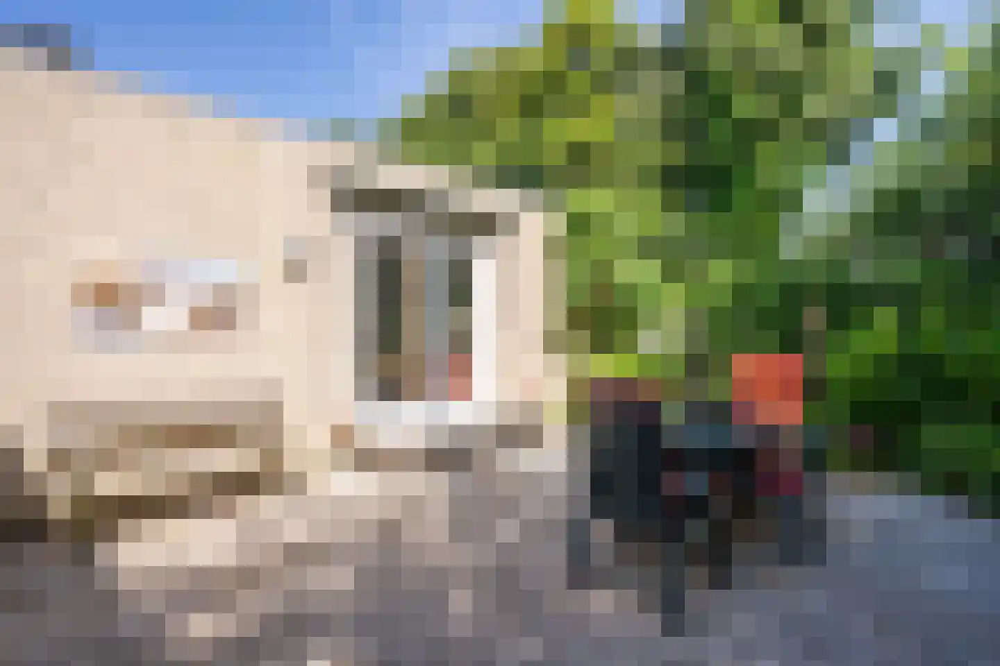 Ruijslaan 61 De Koog thumbnail 48