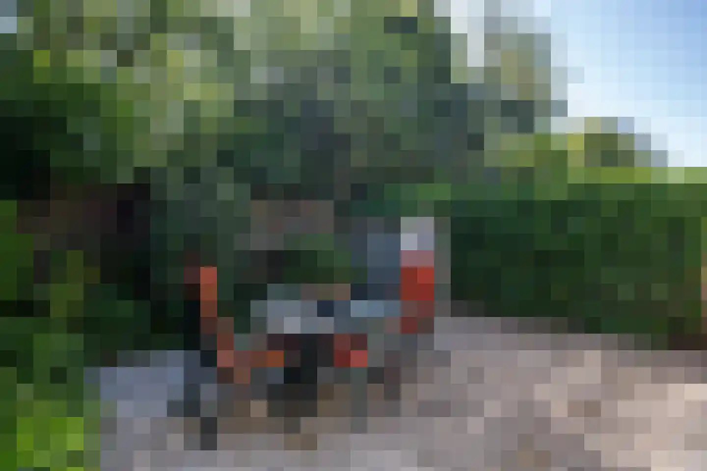 Ruijslaan 61 De Koog thumbnail 60