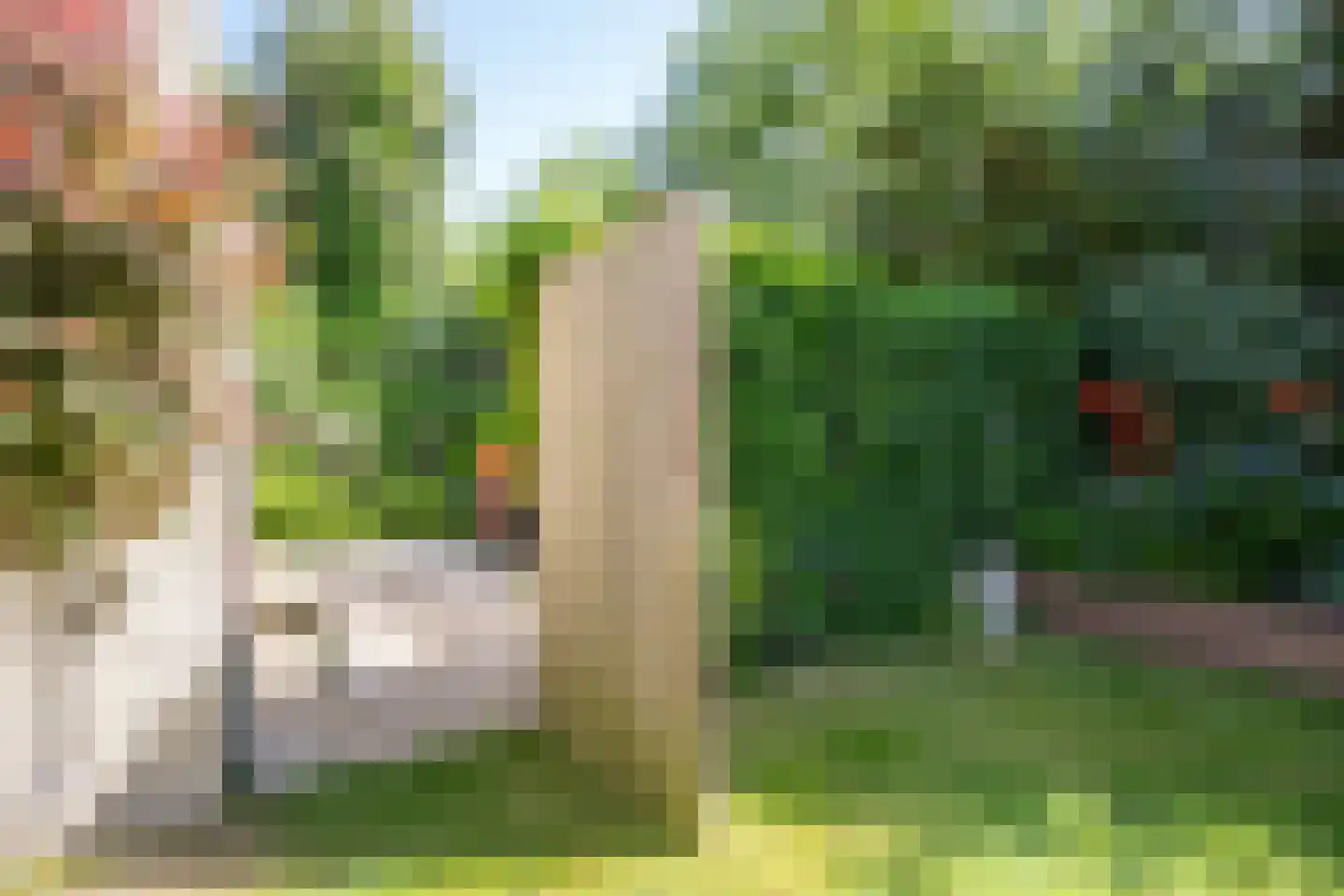 Ruijslaan 61 De Koog thumbnail 62