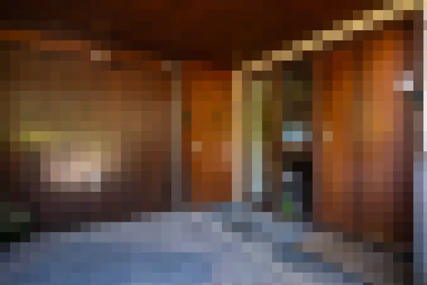 Ruijslaan 61 De Koog thumbnail 63