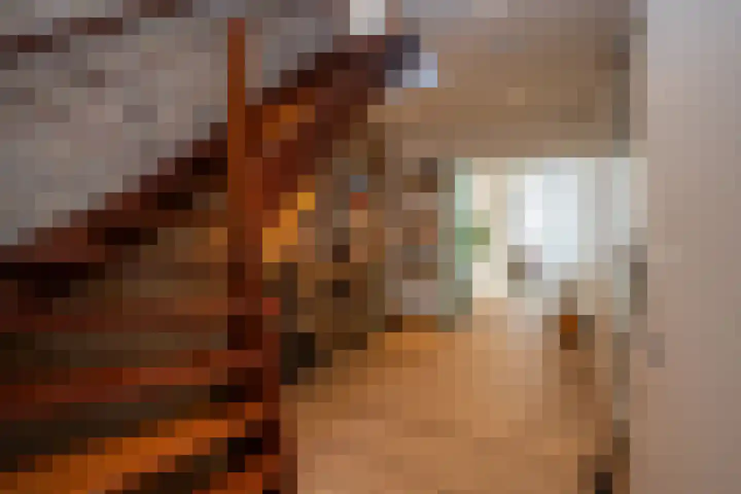 Ruijslaan 61 De Koog thumbnail 64