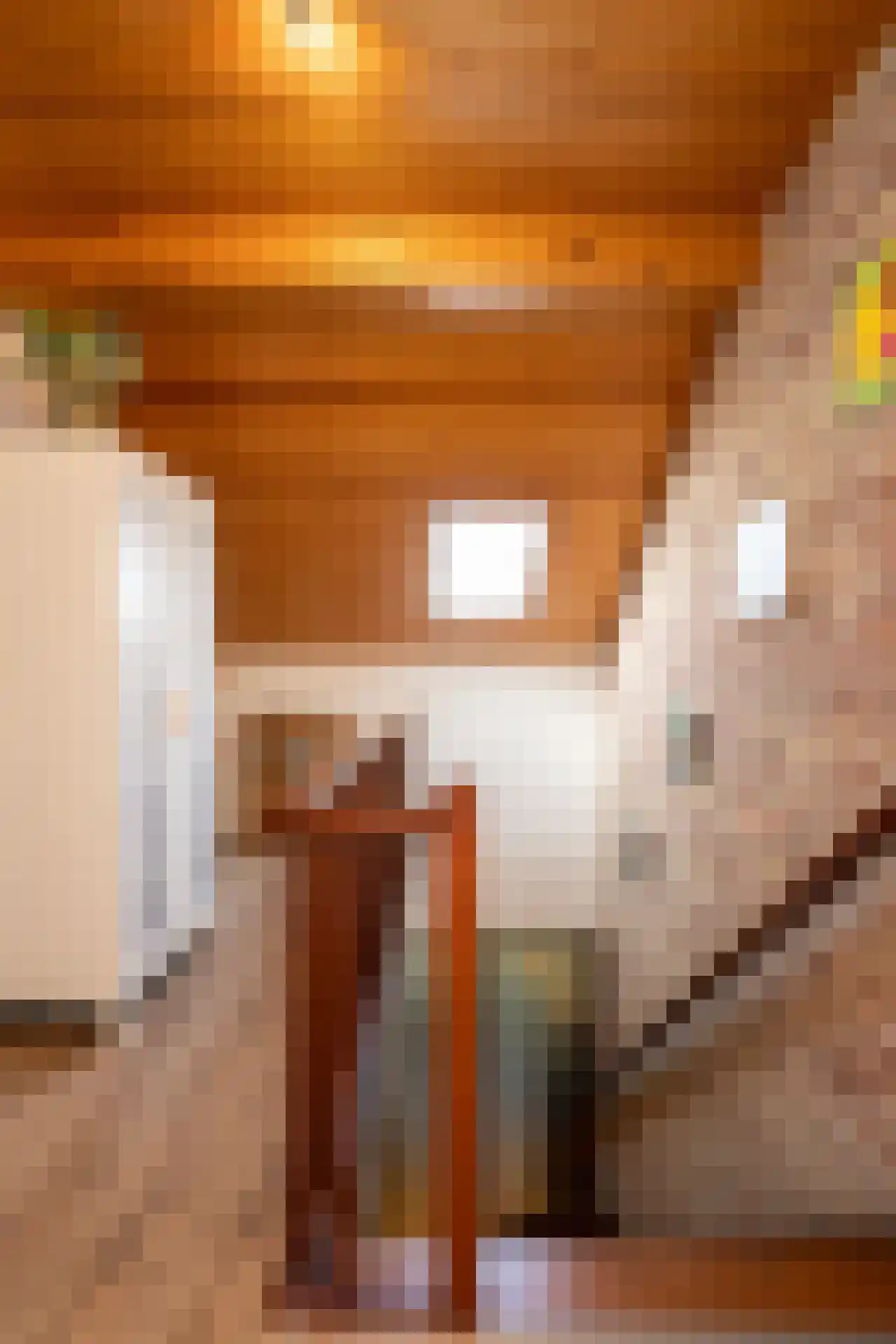 Ruijslaan 61 De Koog thumbnail 65