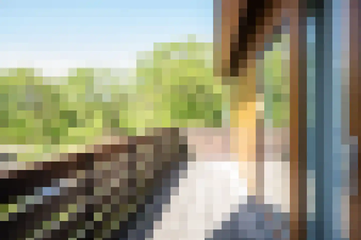 Ruijslaan 61 De Koog thumbnail 81