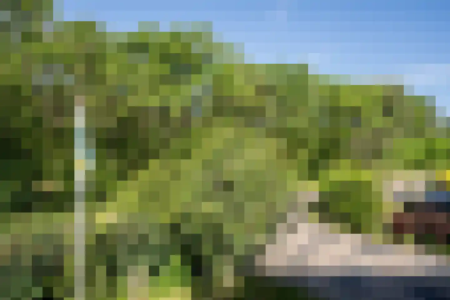 Ruijslaan 61 De Koog thumbnail 83