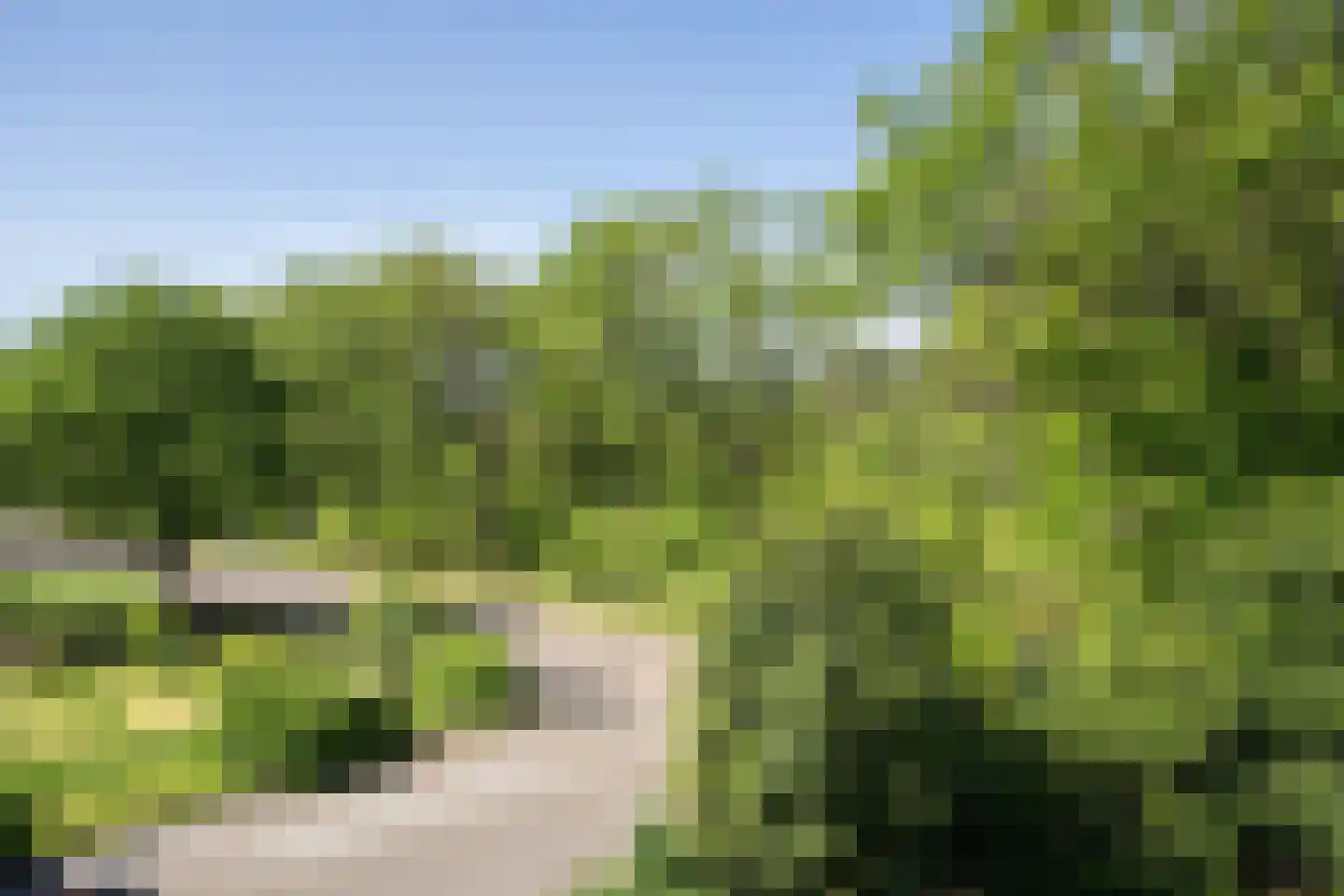 Ruijslaan 61 De Koog thumbnail 86