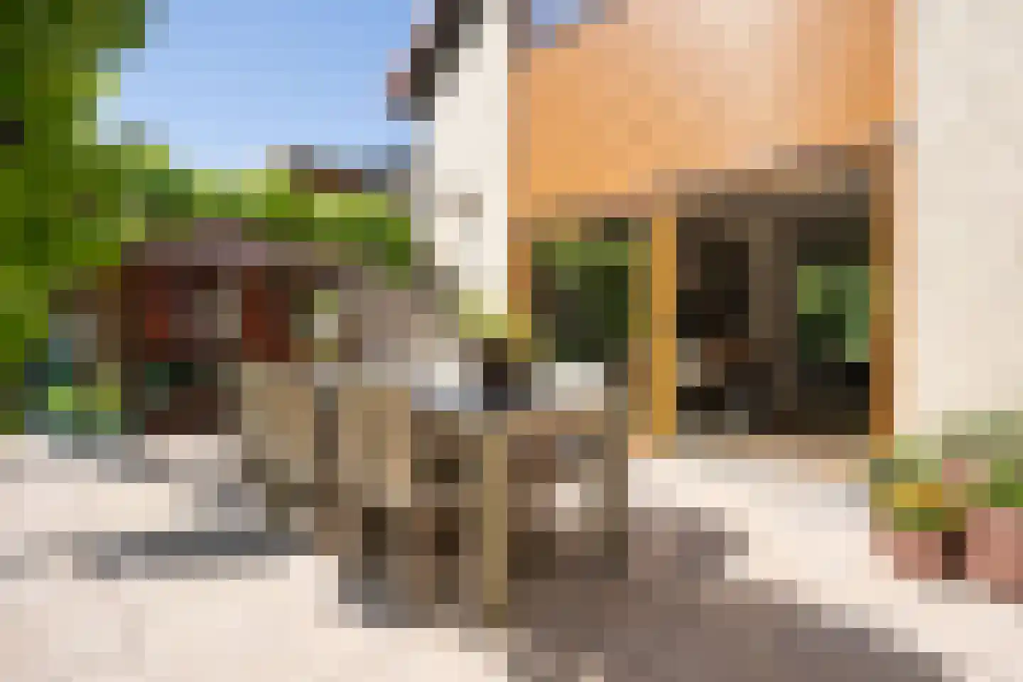 Ruijslaan 61 De Koog thumbnail 90