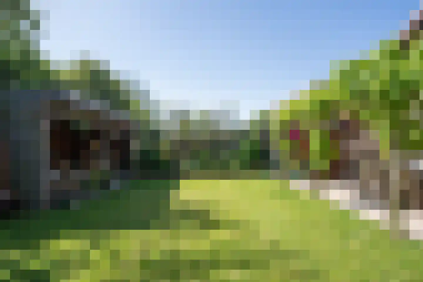 Ruijslaan 61 De Koog thumbnail 98