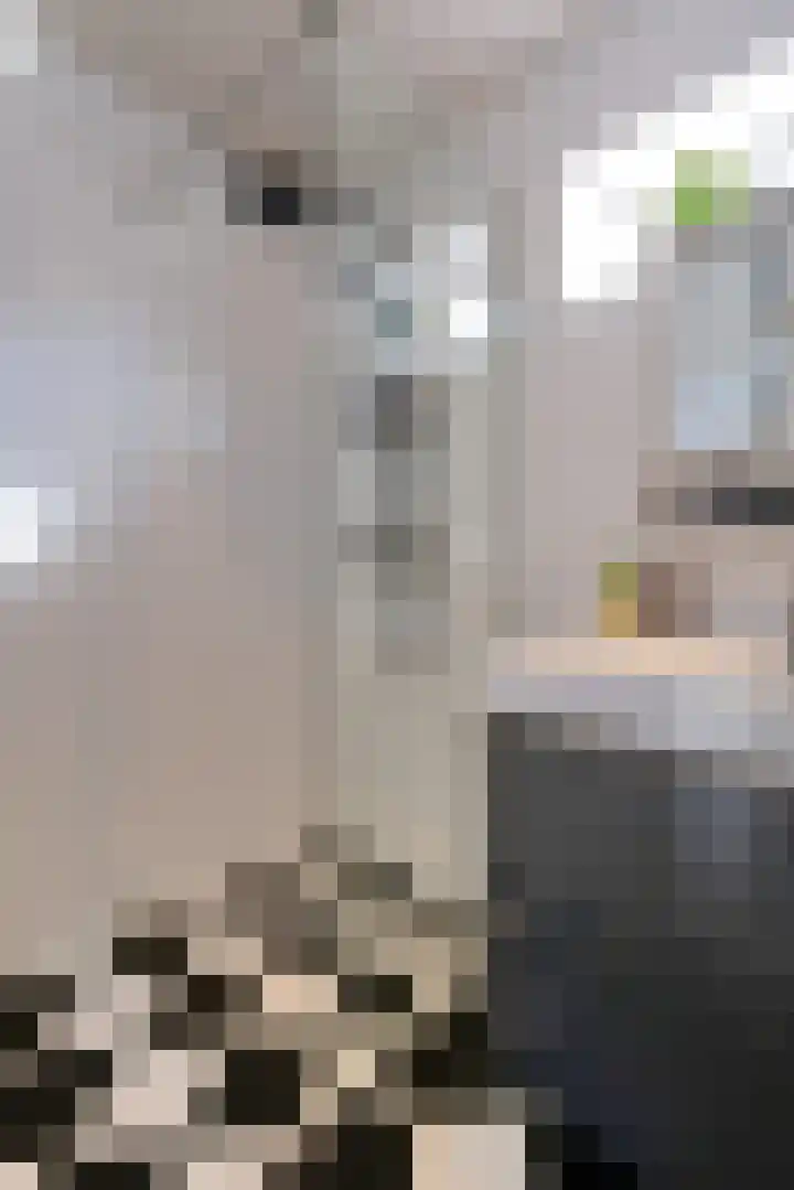 Ruijsstraat 1 Ede thumbnail 4