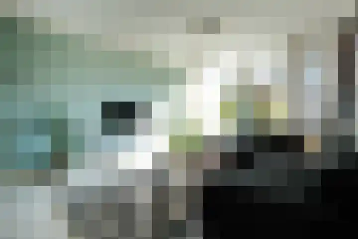 Ruijsstraat 1 Ede thumbnail 6