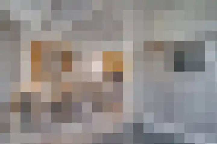 Ruijsstraat 125 Venlo thumbnail 12