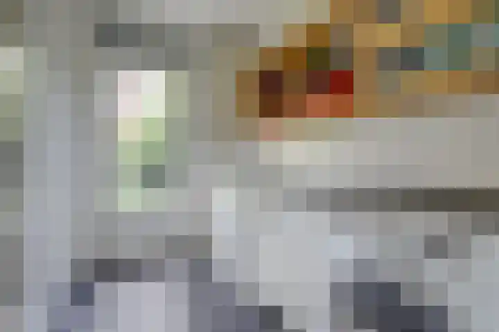 Ruijsstraat 40 Panningen thumbnail 16
