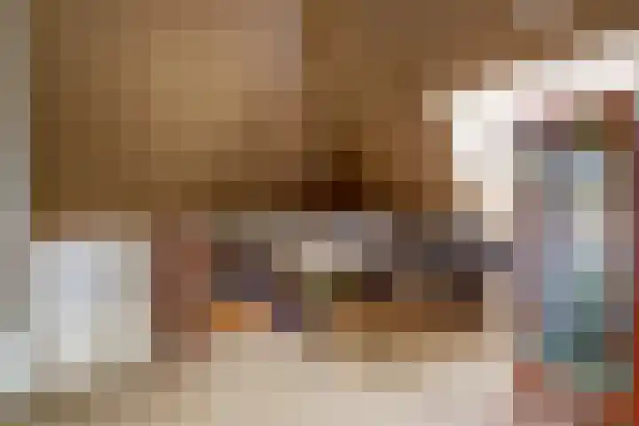 Ruijsstraat 40 Panningen thumbnail 31
