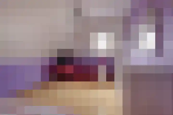 Ruijsstraat 40 Panningen thumbnail 33