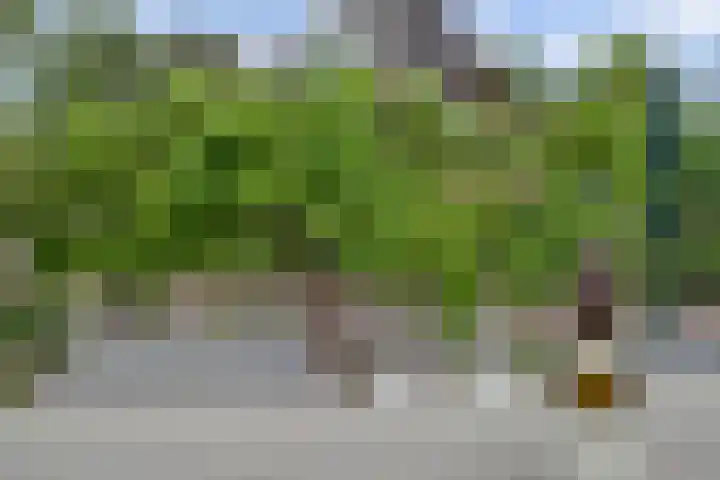 Ruijsstraat 40 Panningen thumbnail 38