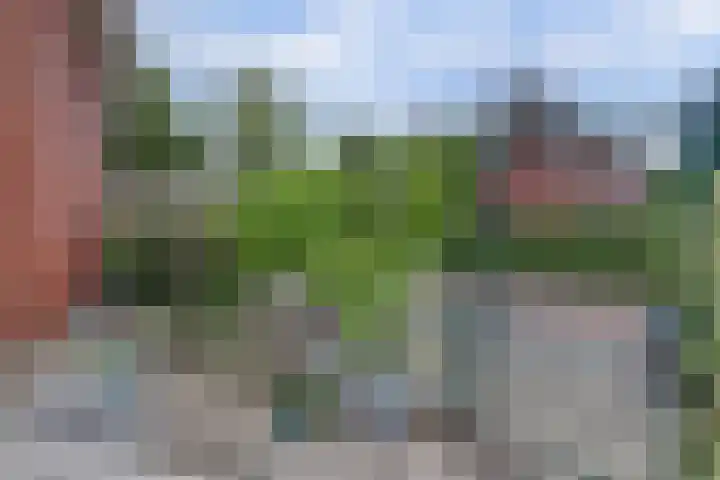 Ruijsstraat 40 Panningen thumbnail 40