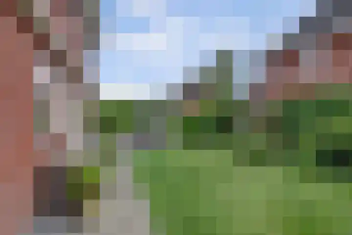 Ruijsstraat 40 Panningen thumbnail 41