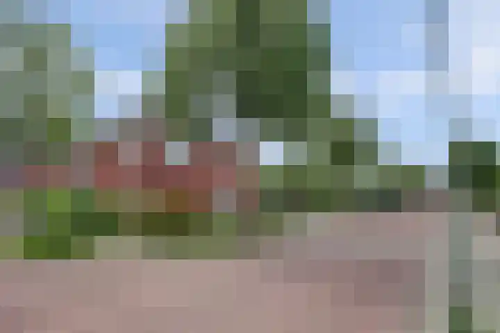 Ruijsstraat 40 Panningen thumbnail 48