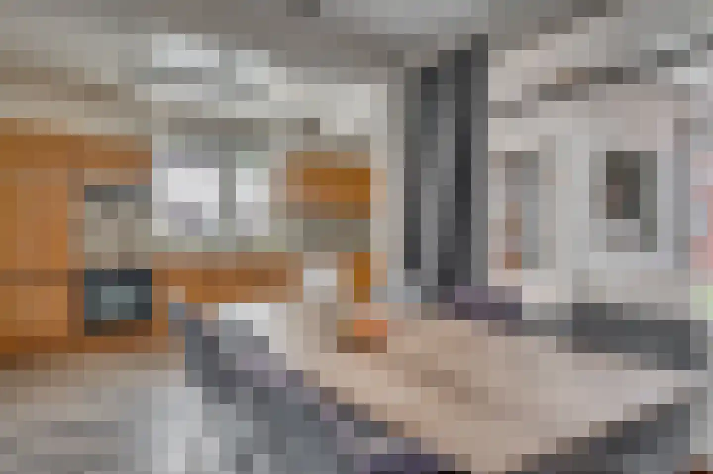 Ruijsstraat 54 Venlo thumbnail 10