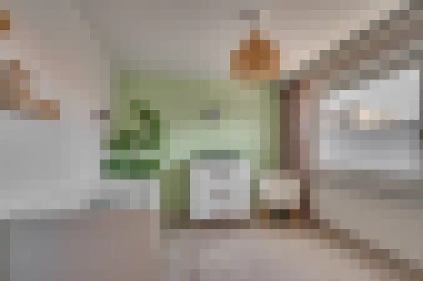 Ruijsstraat 54 Venlo thumbnail 20