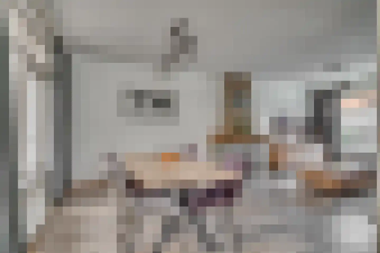 Ruijsstraat 54 Venlo thumbnail 7