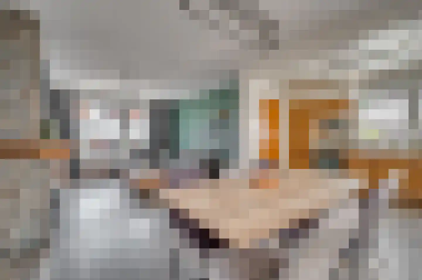 Ruijsstraat 54 Venlo thumbnail 9
