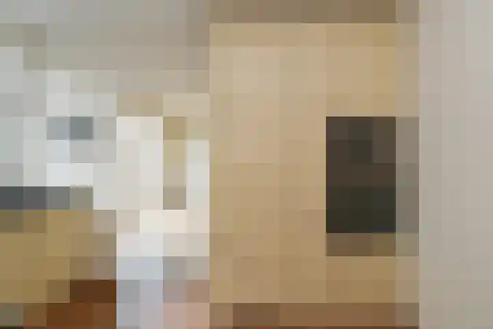Ruijsstraat 6 Panningen thumbnail 13