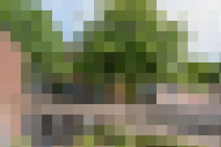 Ruijsstraat 6 Panningen thumbnail 16