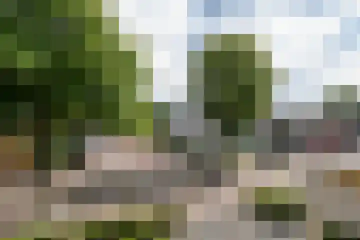 Ruijsstraat 6 Panningen thumbnail 17
