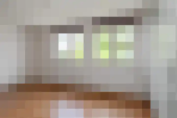Ruijsstraat 6 Panningen thumbnail 20