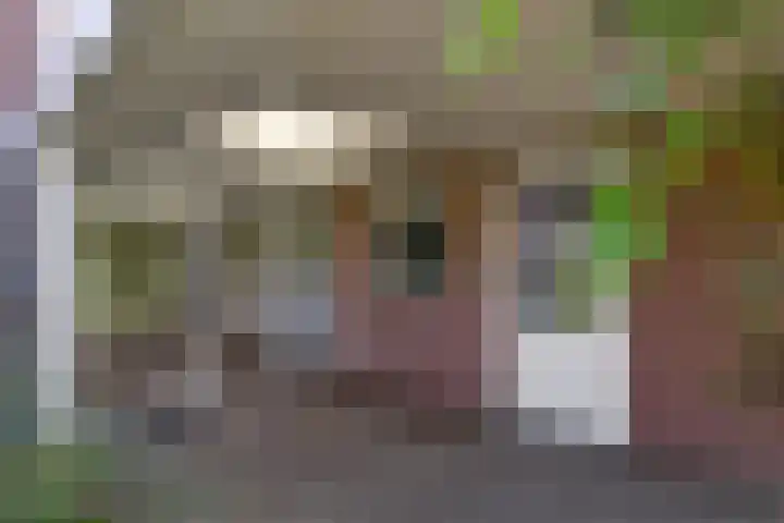 Ruijsstraat 6 Panningen thumbnail 30