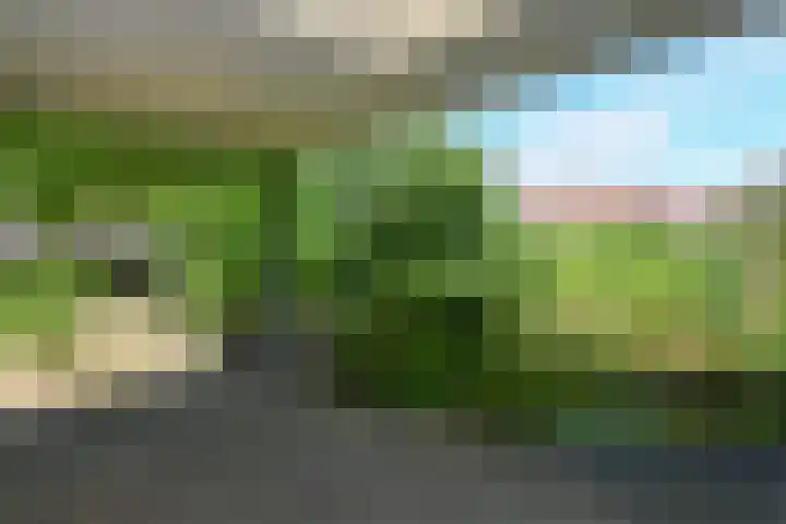 Ruijsstraat 6 Panningen thumbnail 31