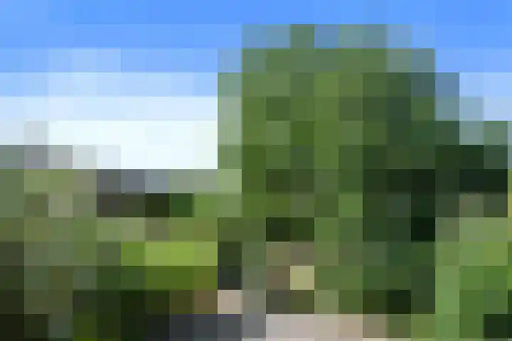 Ruijsstraat 6 Panningen thumbnail 32