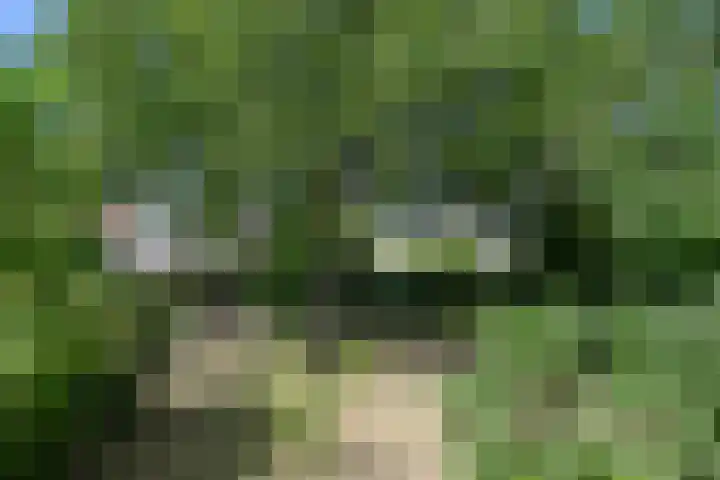 Ruijsstraat 6 Panningen thumbnail 33