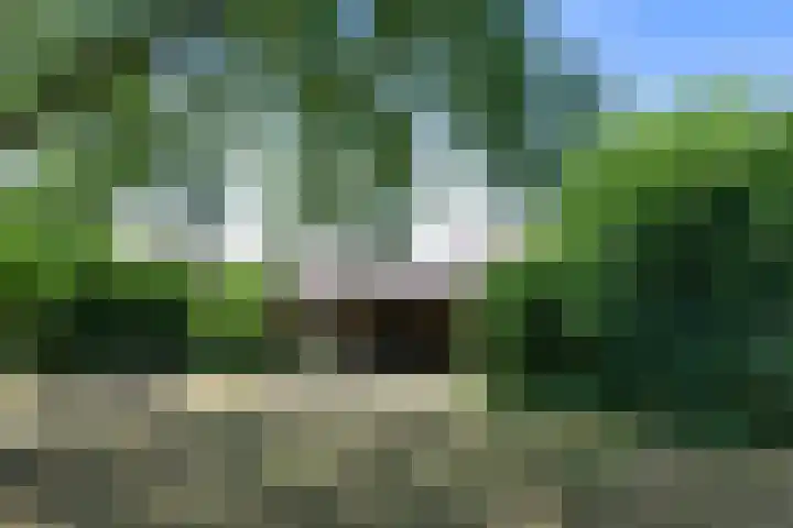 Ruijsstraat 6 Panningen thumbnail 34