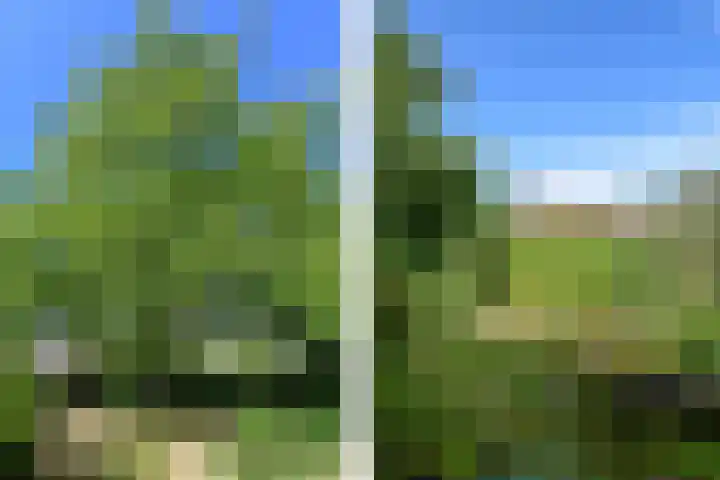 Ruijsstraat 6 Panningen thumbnail 35