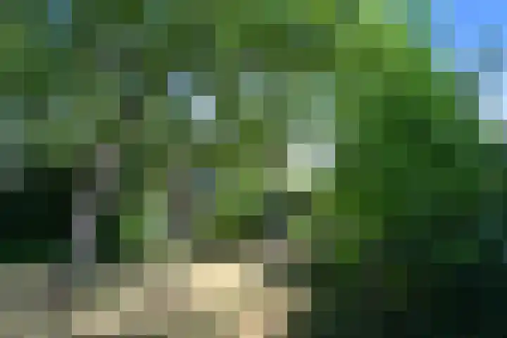 Ruijsstraat 6 Panningen thumbnail 37
