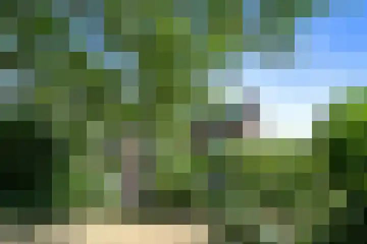 Ruijsstraat 6 Panningen thumbnail 38