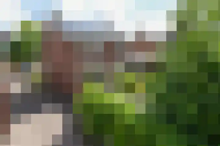 Ruijsstraat 6 Panningen thumbnail 39