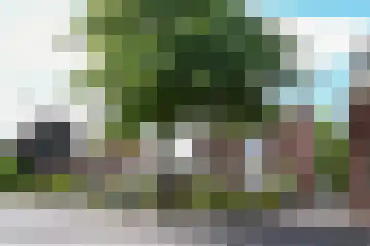 Ruijsstraat 6 Panningen thumbnail 4