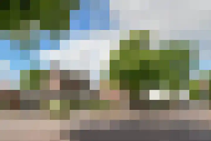Ruijsstraat 6 Panningen thumbnail 40
