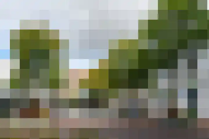 Ruijsstraat 6 Panningen thumbnail 41