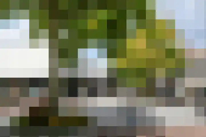 Ruijsstraat 6 Panningen thumbnail 42