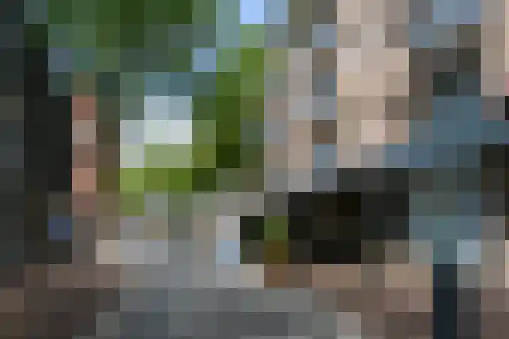 Ruijsstraat 6 Panningen thumbnail 43