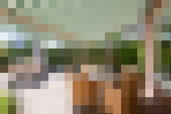 Ruijtersweg 7 Echt thumbnail 20