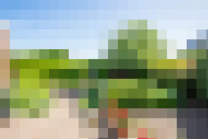 Ruijtersweg 7 Echt thumbnail 22