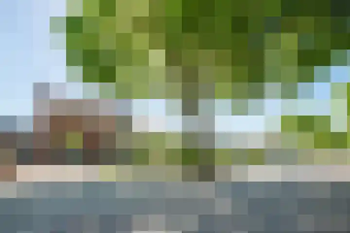 Ruijtersweg 7 Echt thumbnail 27